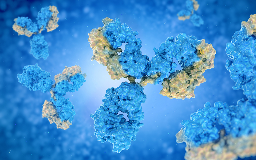 藥物安全性評價服務(wù)